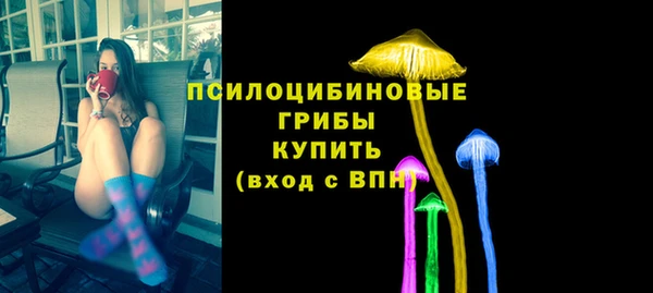 амф Белокуриха