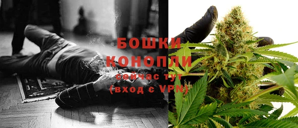прущие грибы Россошь
